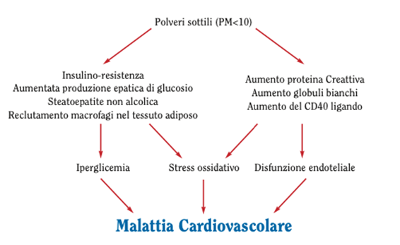 malattia cardiovascolare